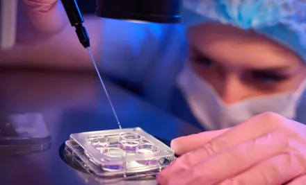 Blastocyst Transfer