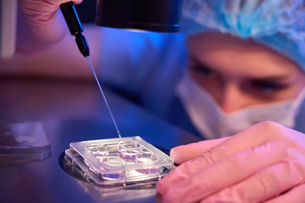 Blastocyst Transfer