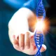 What Is a Mosaic Embryo? What Does It Mean in IVF?
